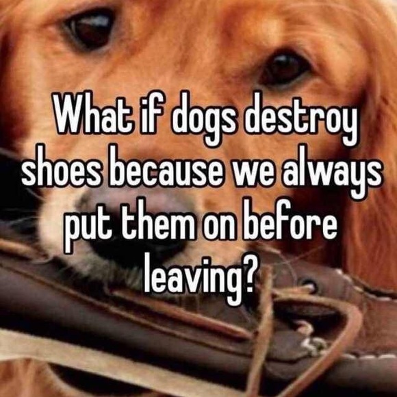 Meet your Posher, Mandy - Picture 11 of 16